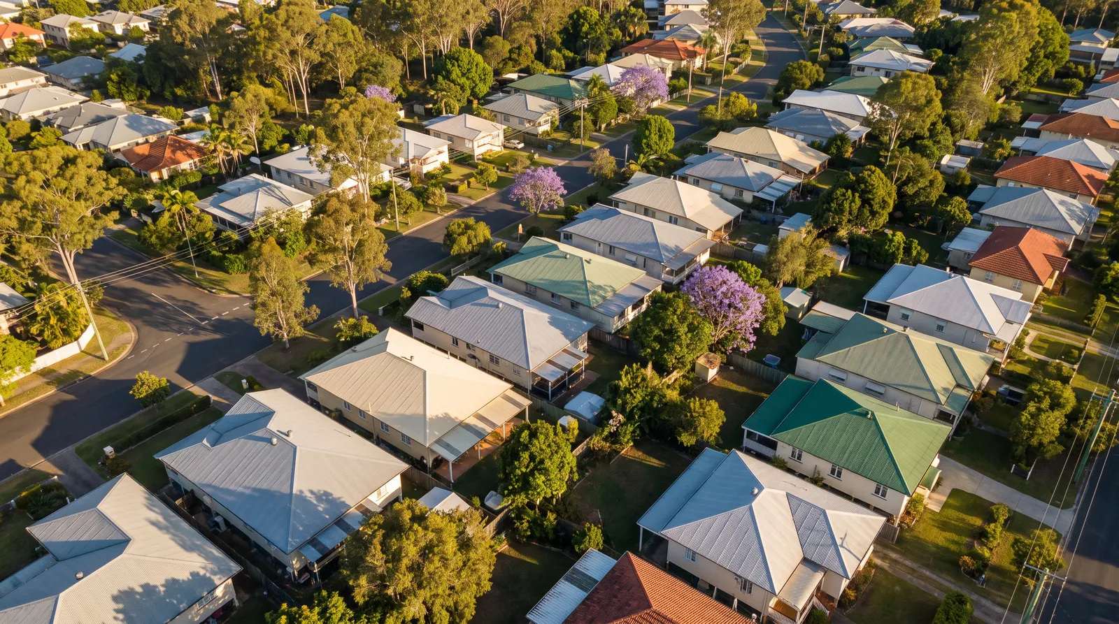 Rooftops of a Brisbane northside suburb from above at golden hour, corrugated iron and terracotta tile roofs among jacaranda and gum trees