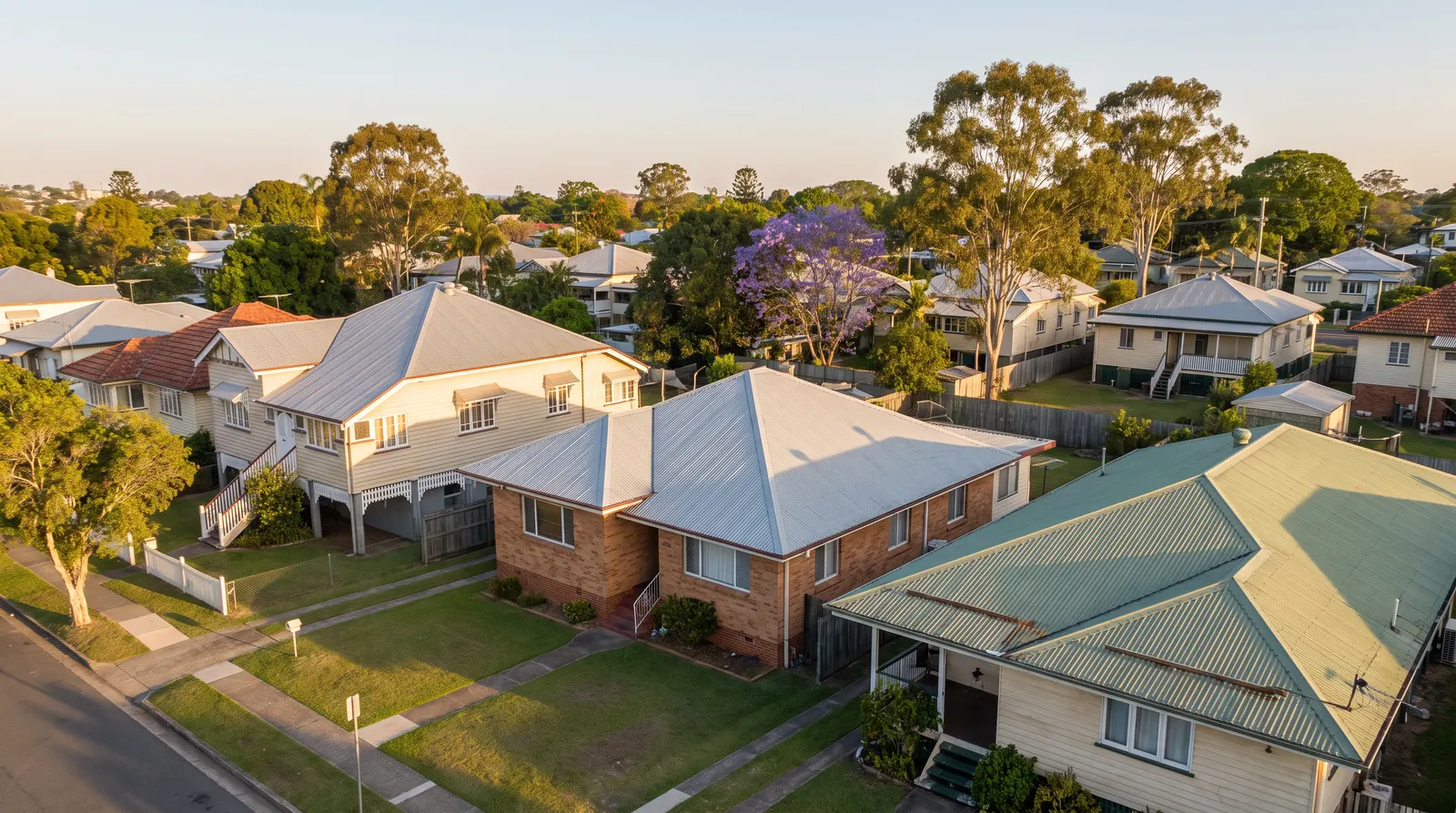A leafy Brisbane northside street from slightly above at golden hour, Queenslander and brick homes with Colorbond and terracotta roofs under gum trees and a jacaranda